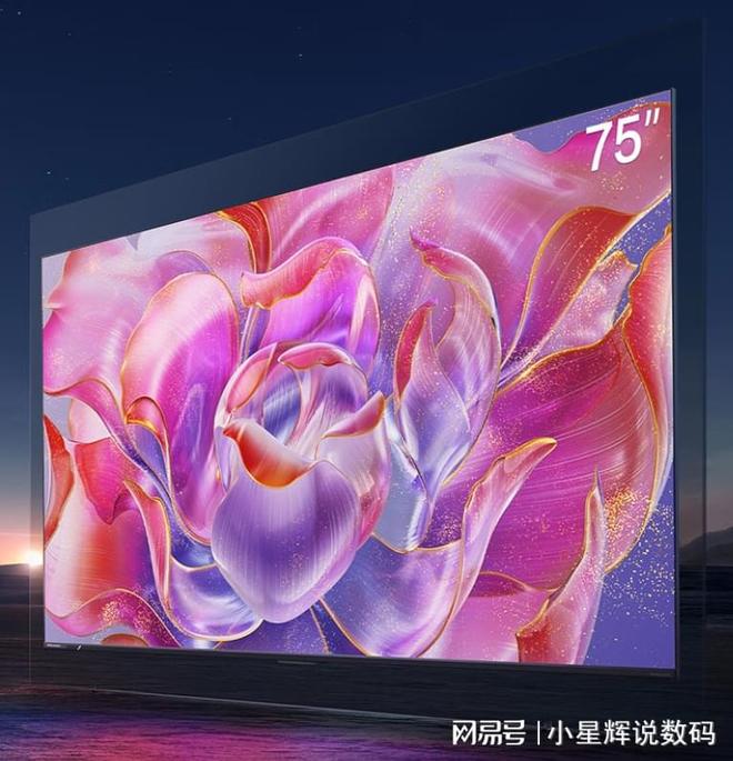 得买”的3款海信75英寸电视公认好口碑ag九游会登录2025年618“最值(图3)